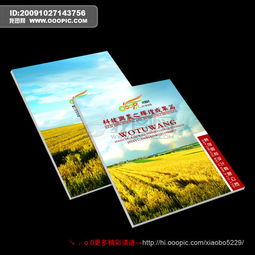 畫冊設(shè)計(jì)的多元領(lǐng)域應(yīng)用與核心要素